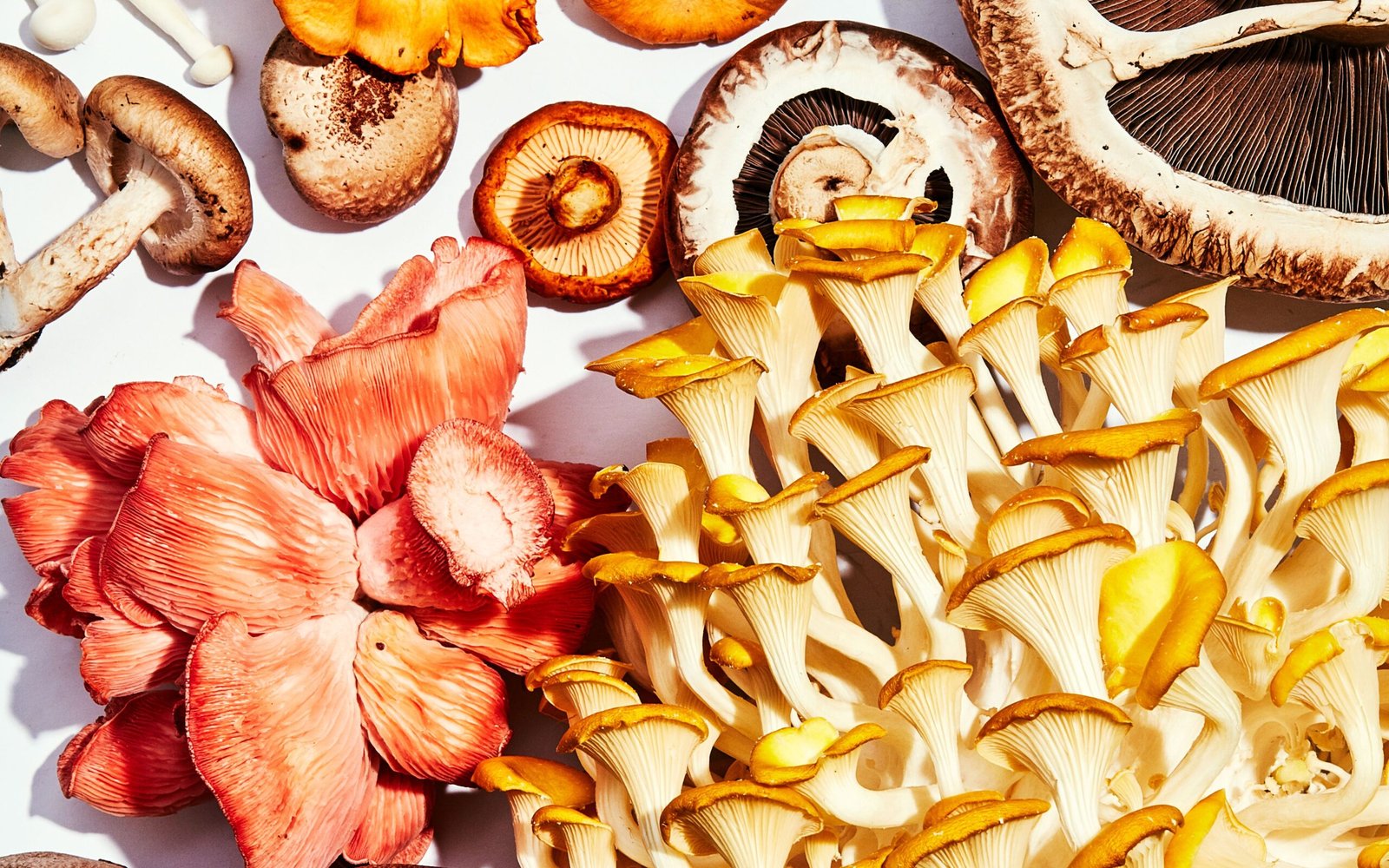 The Easiest Way to Get Delicious Mushrooms